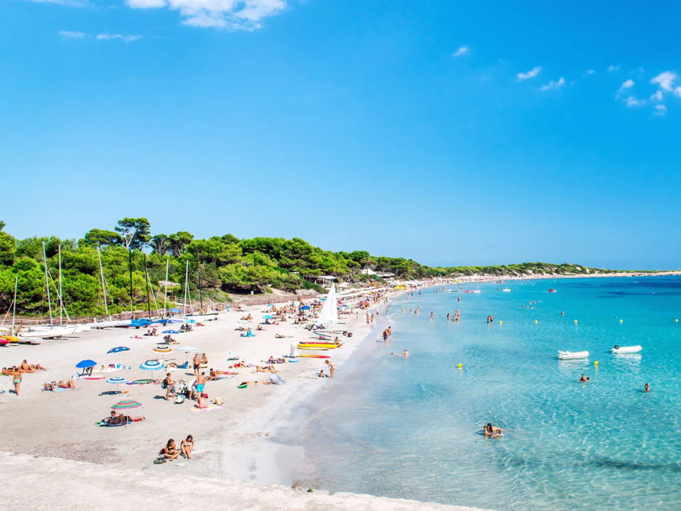 best ibiza bus tour