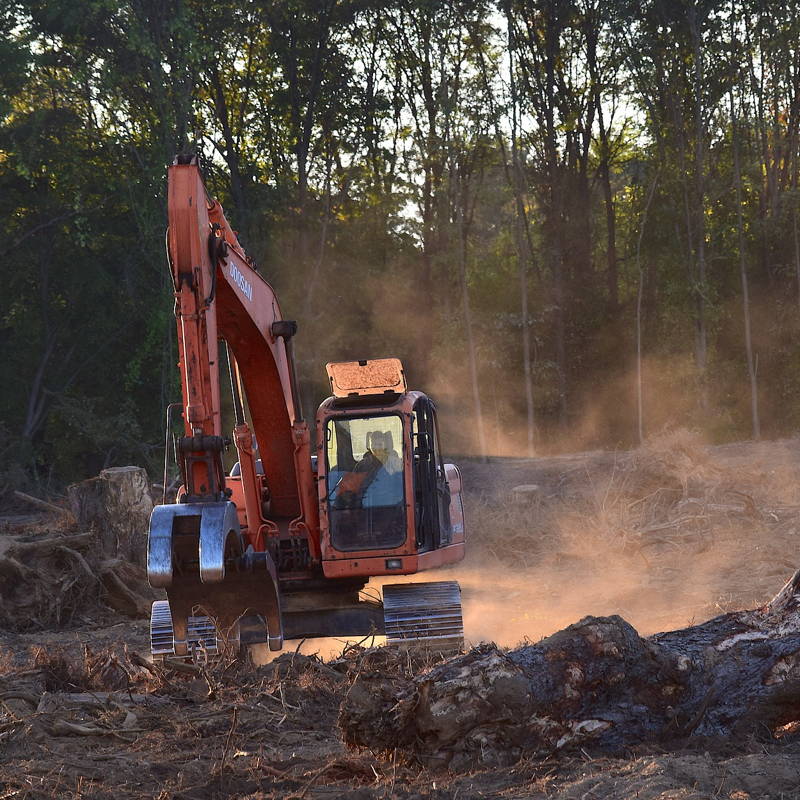 Graafmachine bezig met het kappen van bomen
