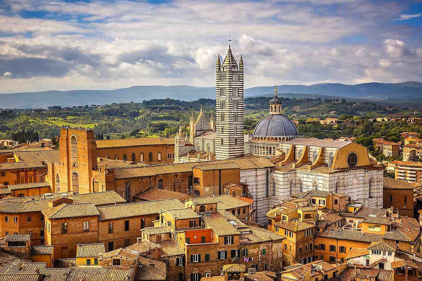  Siena (SI)
- Duomo-di-Siena.jpg