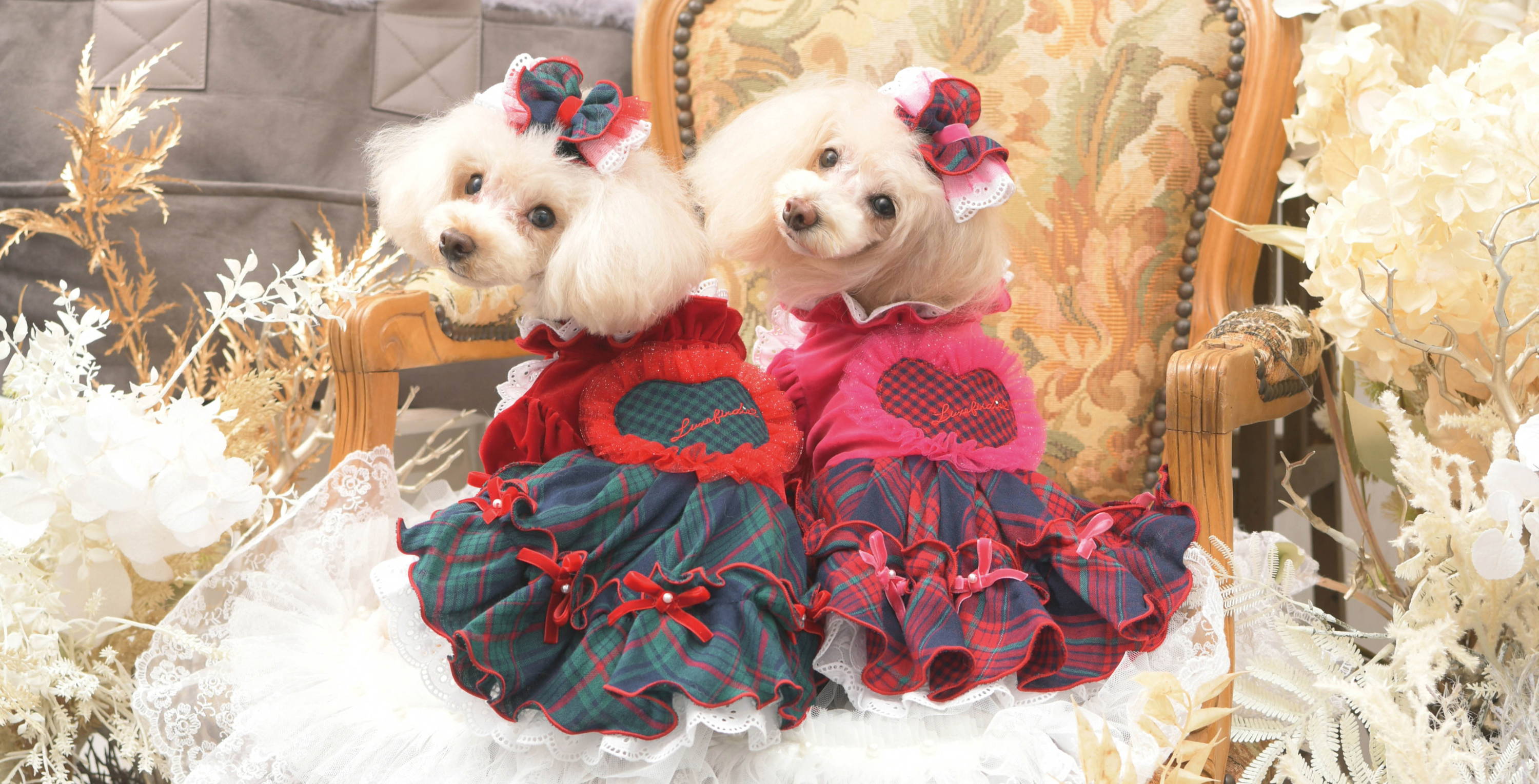 送料無料 いくらから リュクスバーディ☆【美品】♡クリスマスや撮影会に♡ - メルカリ 犬服・アクセサリー