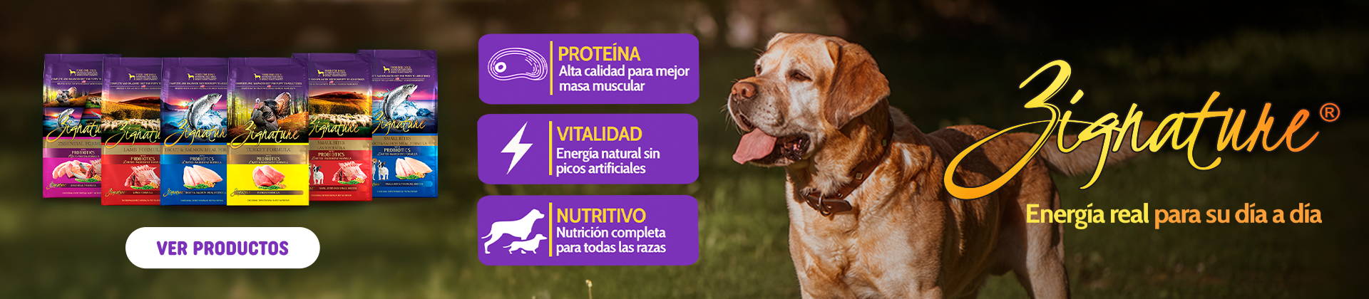 zignature - energía real para su día a día