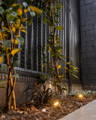 Garden spike lights illuminating plants at Westbourne SA home
