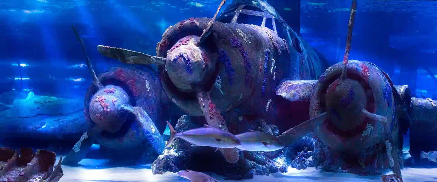 Antalya Aquarium - photo 5