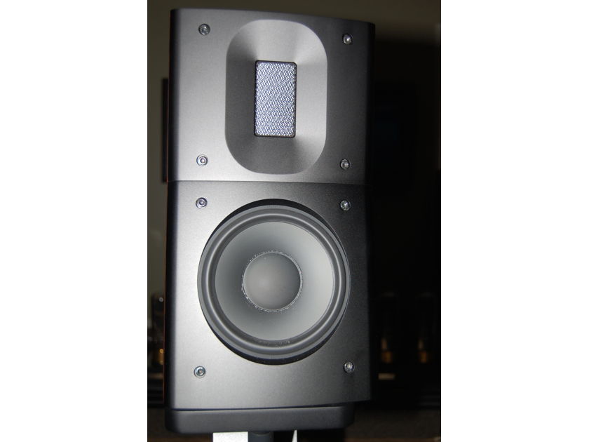 Raidho Acoustics APS D-1 Loudspeaker with Diamond Driver