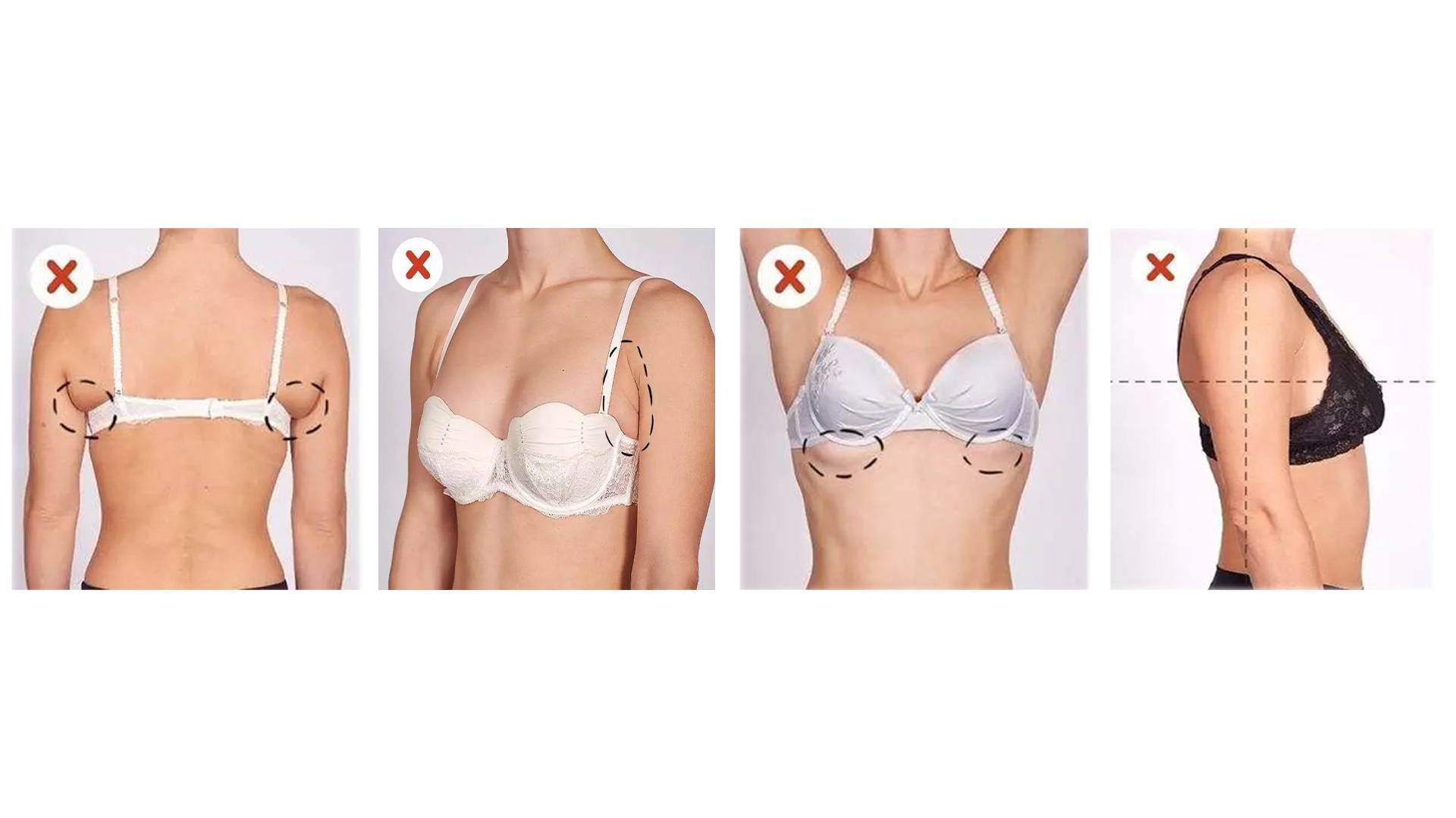 How to Measure Perfect Bra Size – BD SHOP Blog