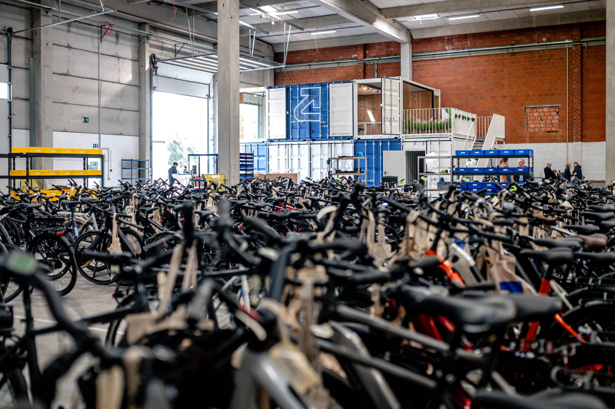 mountain bike elettrica