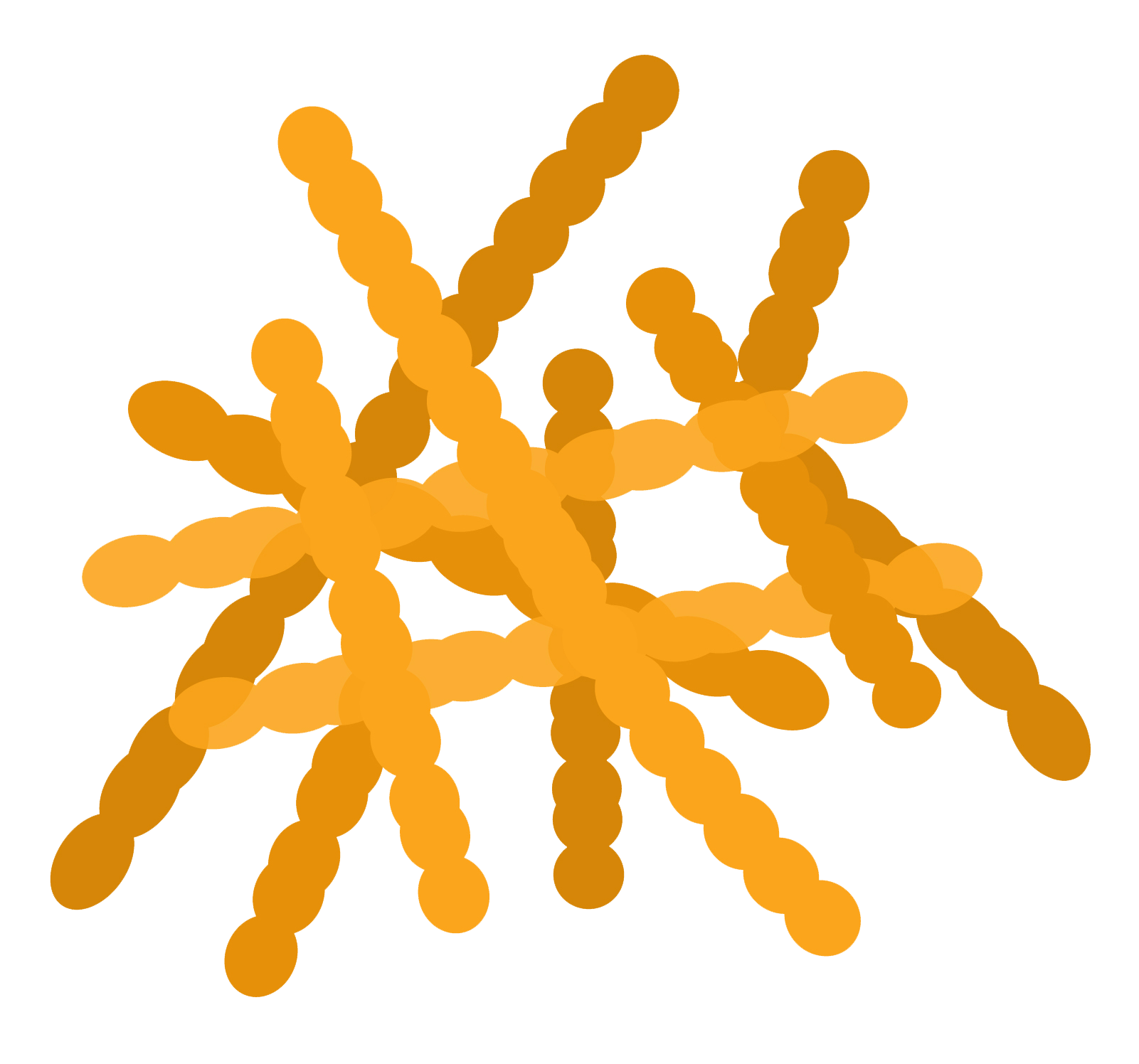Easy Digest ingredient lactobacillus plantarum probiotic