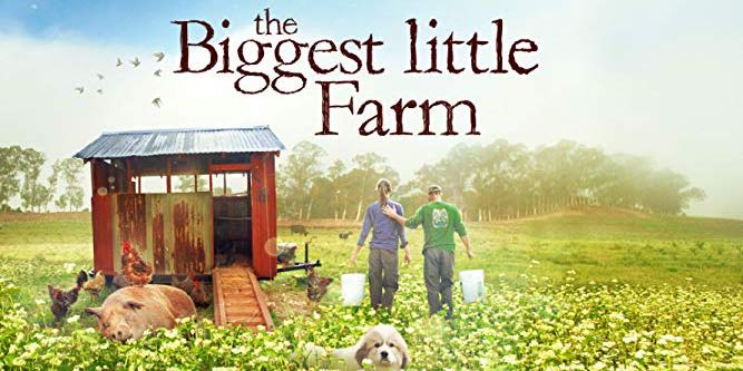 Cinema Under the Stars: The Biggest Little Farm  promotional image