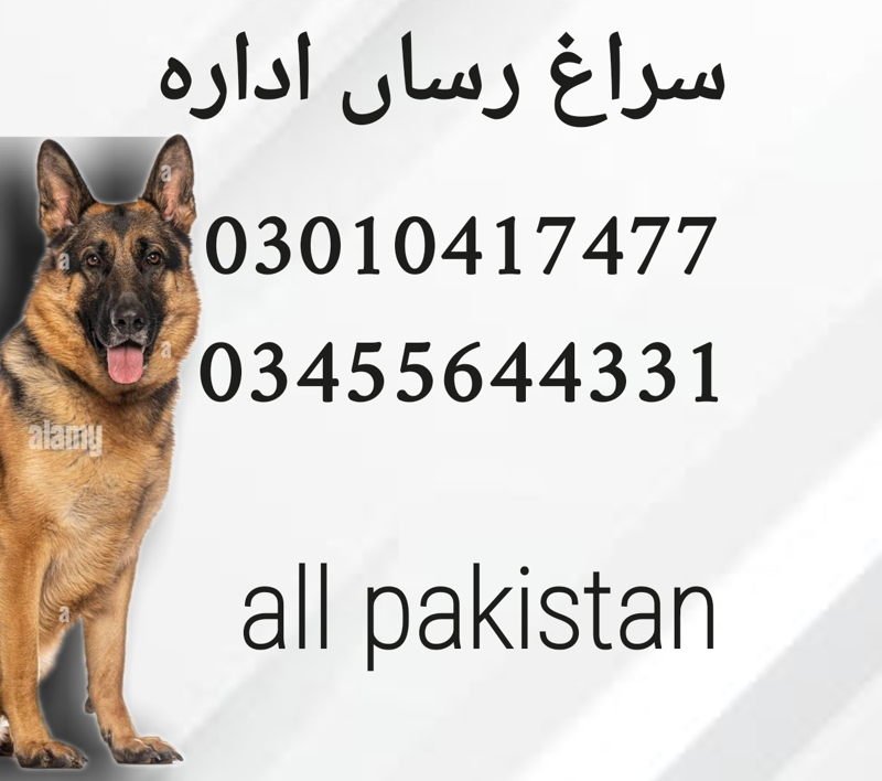 https://ucarecdn.com/83f23957-b029-4175-9fa4-96e6107f26e8/ cover