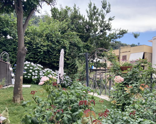 Esperienze gastronomiche Sant'Agnello: Spaghetti alla Nerano nel mio giardino sorrentino