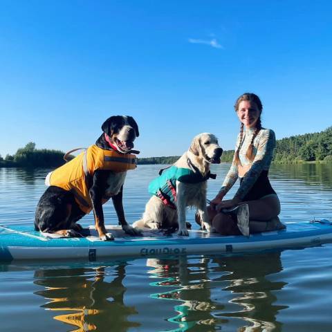 Girl with her 2 big dogs in Funwater paddle board in Canada lake