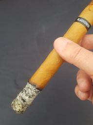 Cigar Session Photo