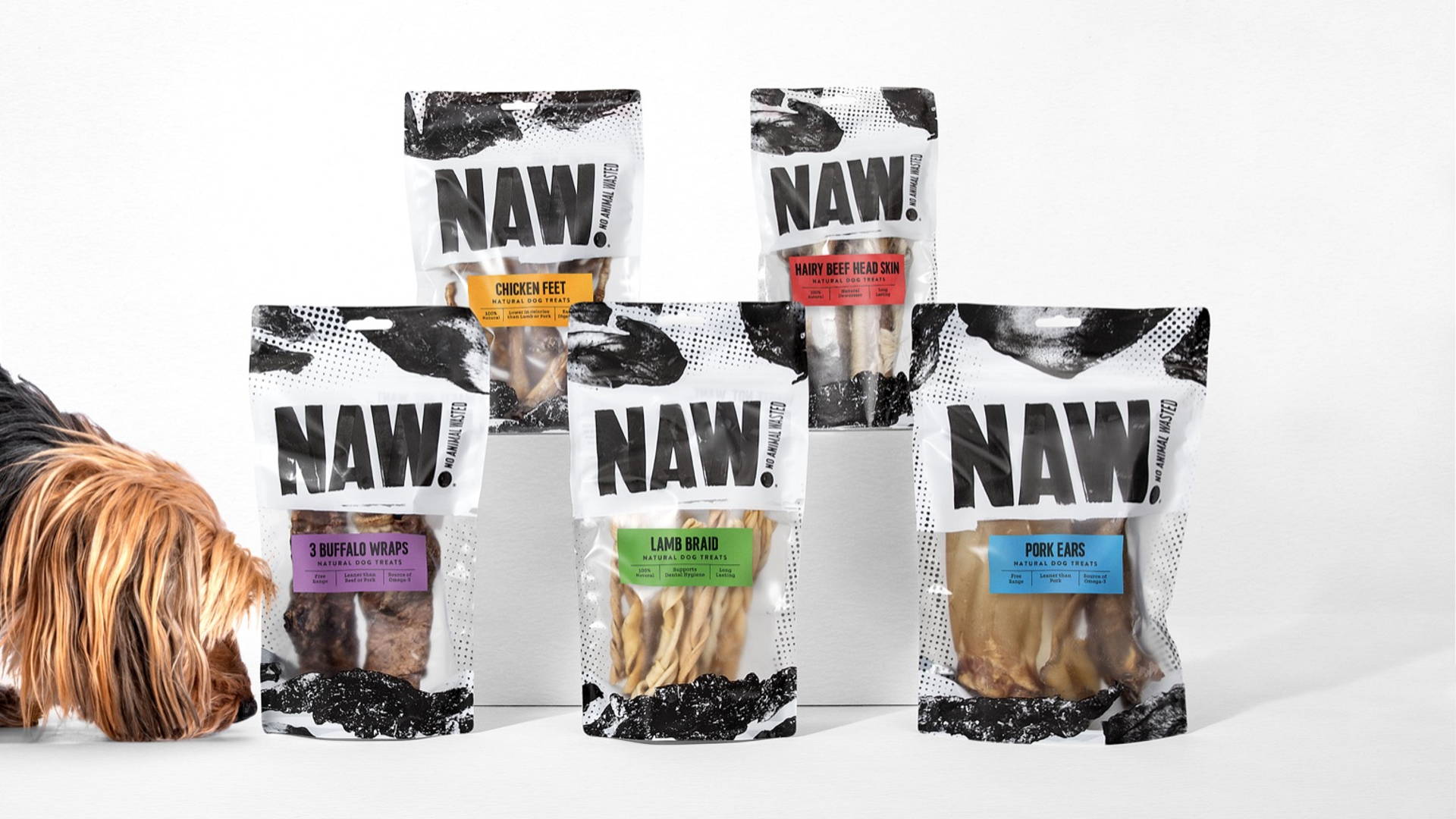 Featured image for Robot Food's NAW Is A ‘Dog-First’ Brand