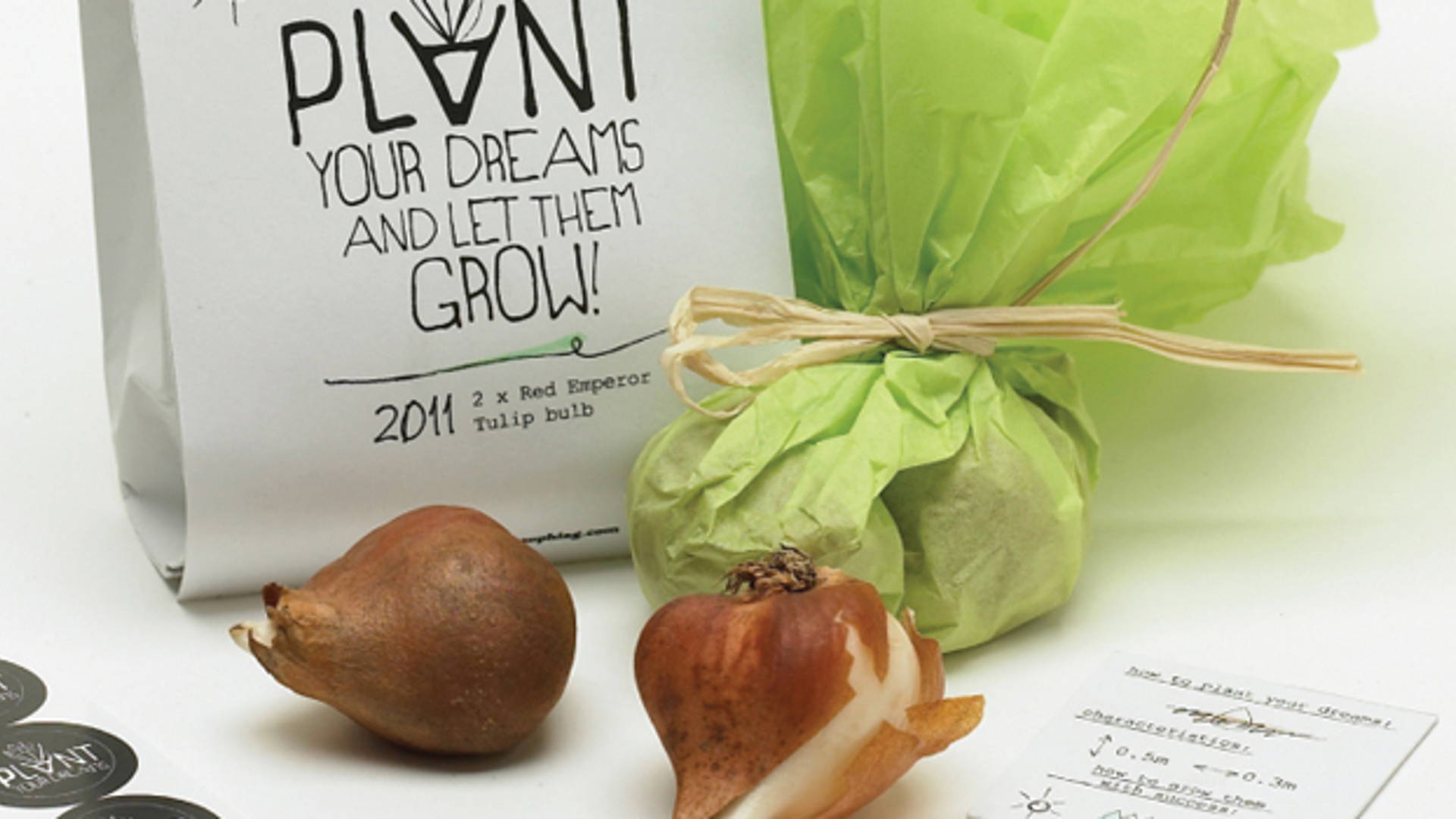 Featured image for Plant Your Dreams, Self Promo