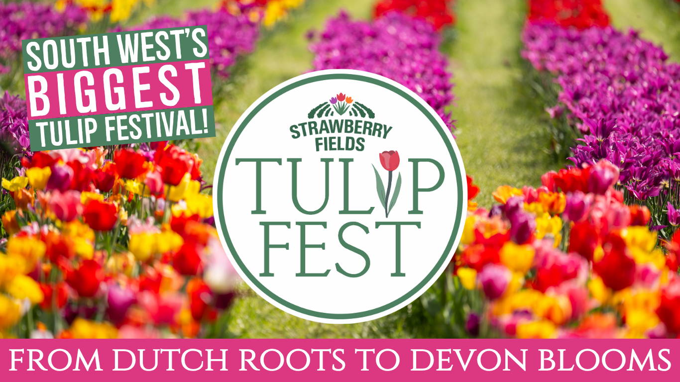 Experience Tulip Fest 2026 - the South West’s original and largest tulip festival. Explore over 500,000 blooms, 60 vibrant varieties, stunning photo spots, family-friendly entertainment, and a touch of Holland in the heart of Devon. Don’t miss this spectacular spring event!