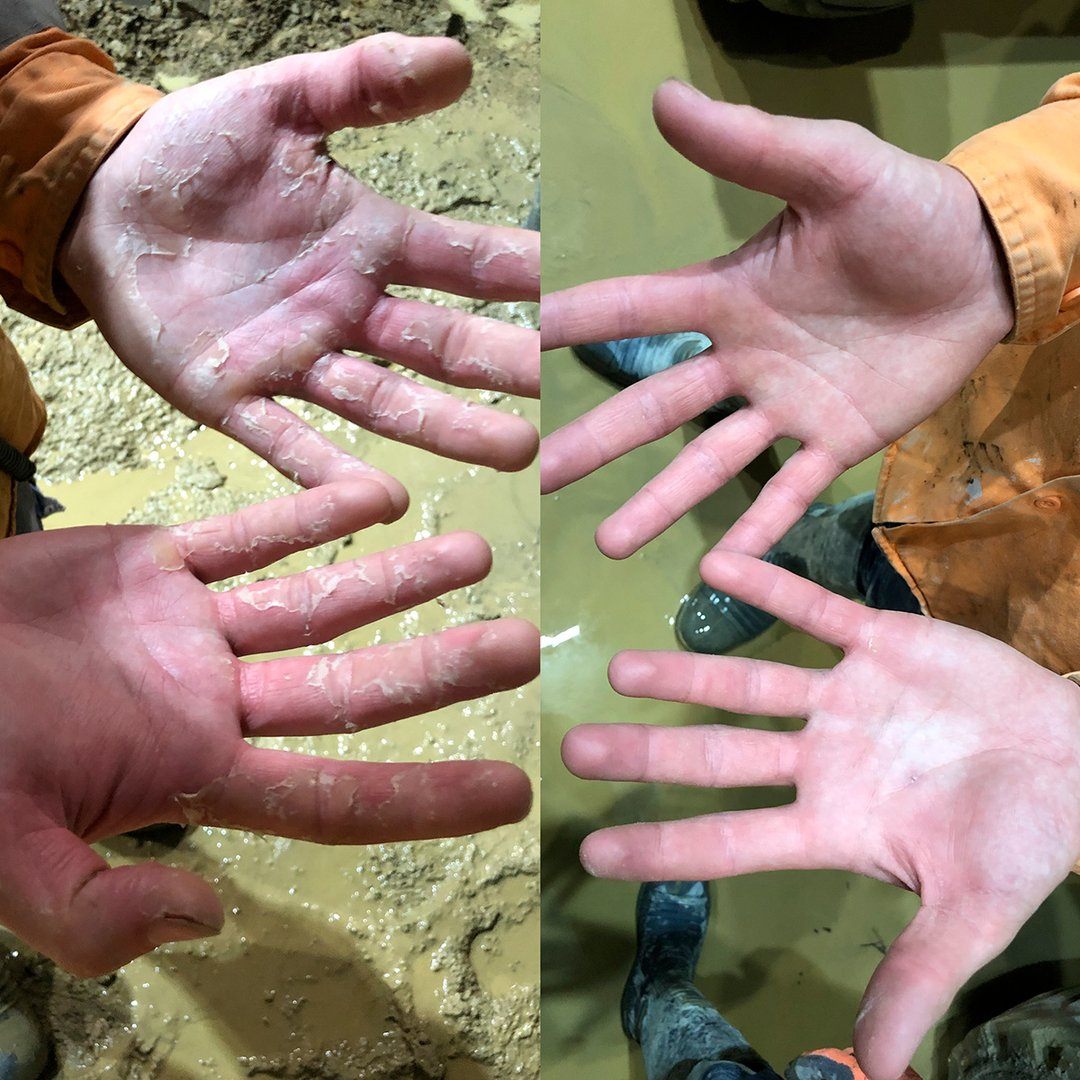 EBSD ORGANIC COCONUT BODY MILK - Image 7