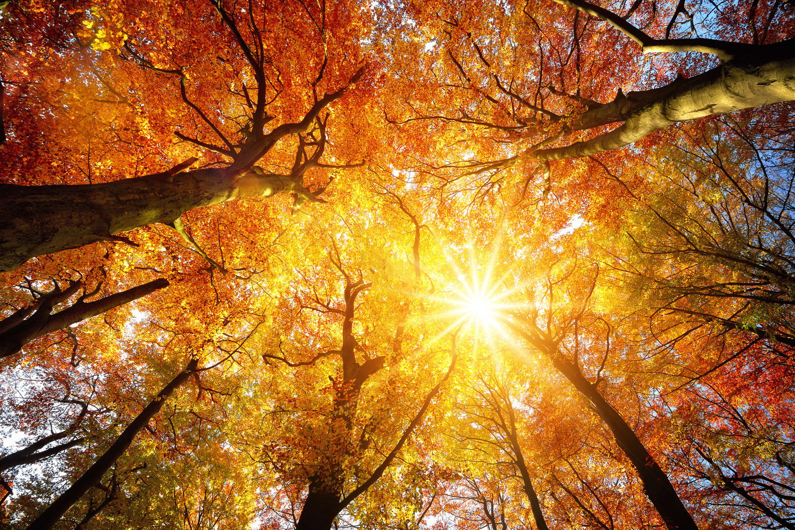 Caring for Our Planet, Empowering Our People: How OCS is Driving Progress This International Mother Earth Day