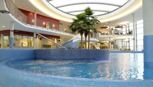 bg wonnemar backnang palmen im pool