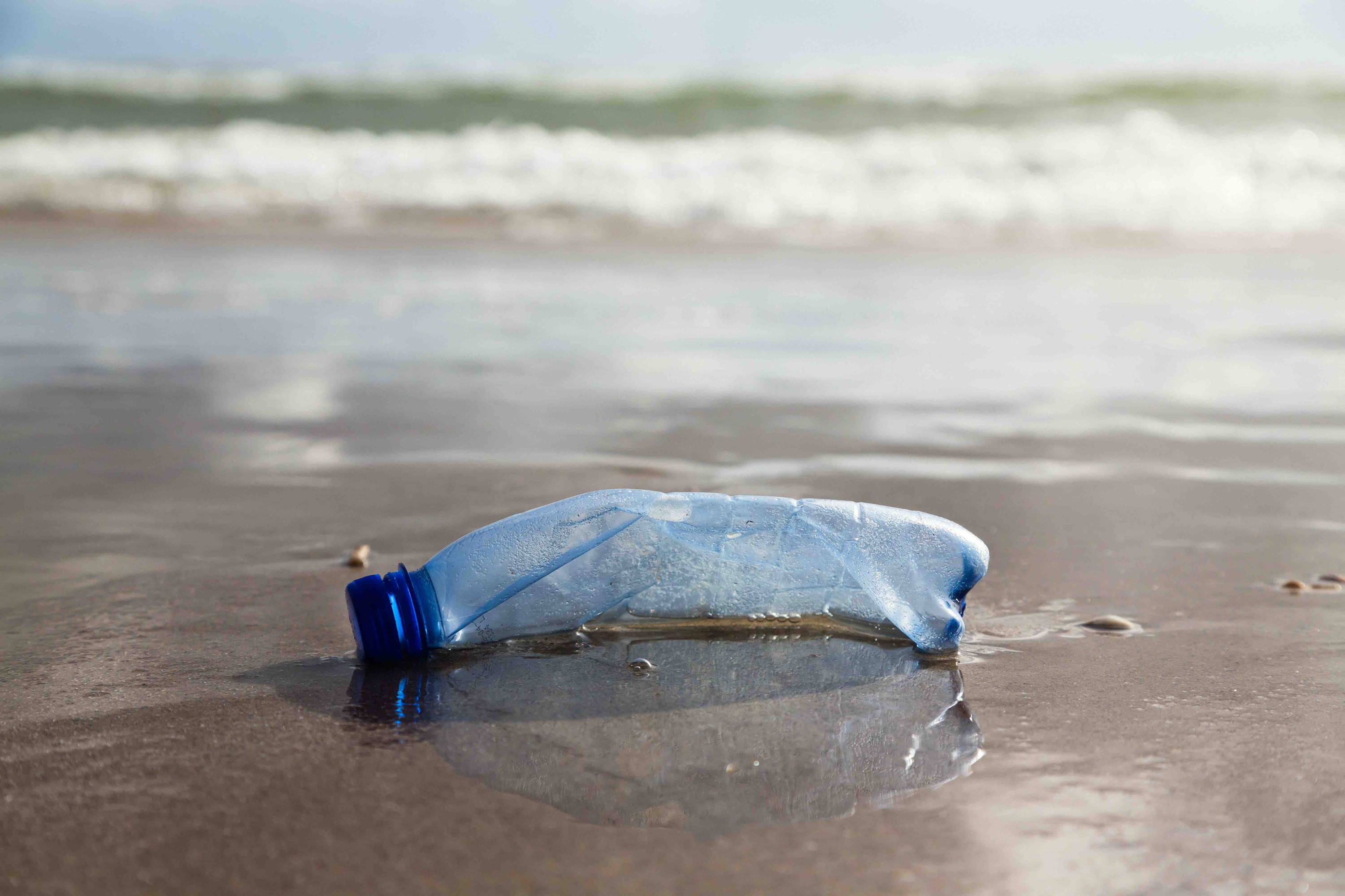 Plastic bottle on beach