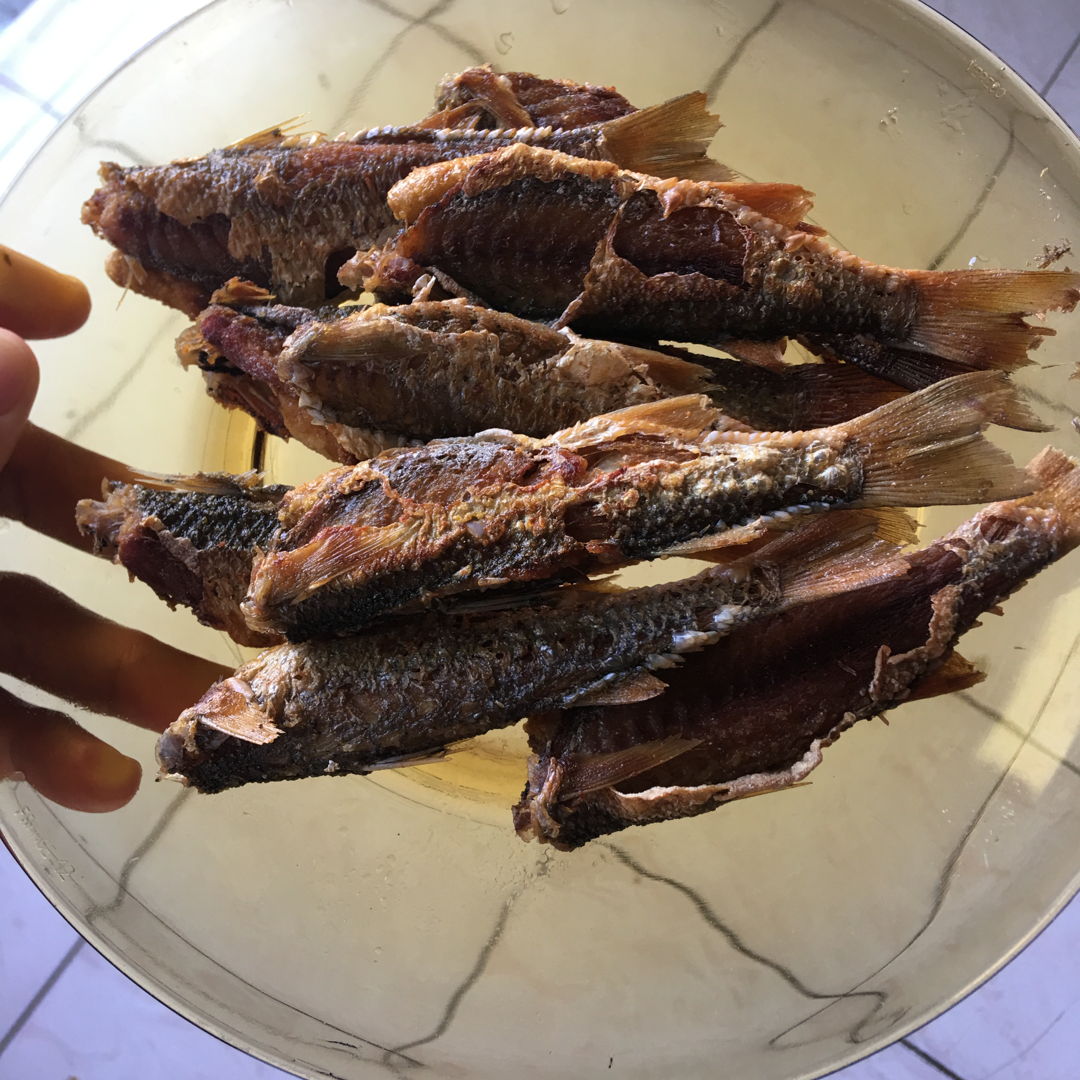 May 21st, 20 - fried fishes.  Small but very tasty. ;9