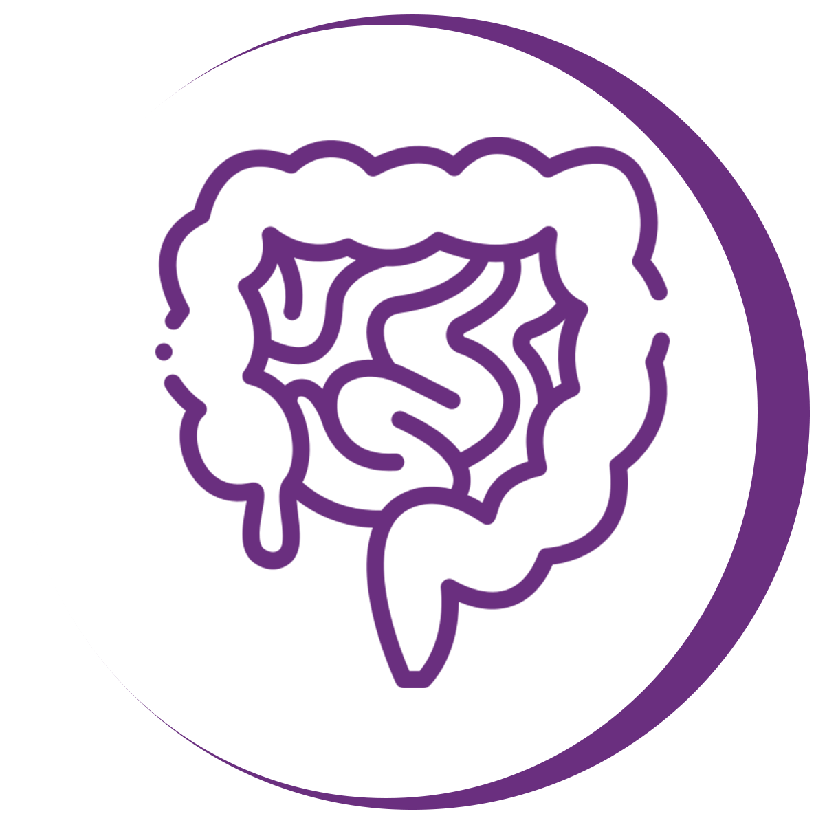 The intestines symbolizing increase in bioavailability as a benefit of the best probiotics supplements singapore