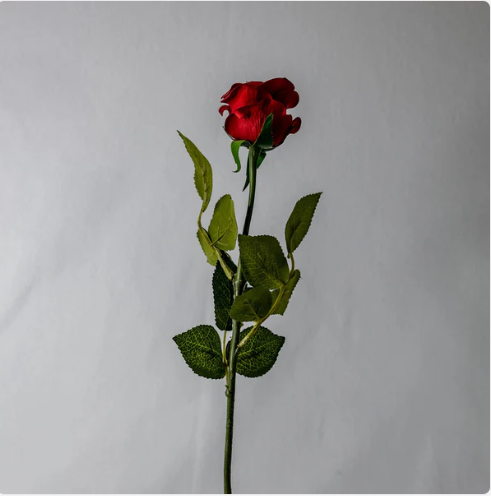 Passion Frangipani Flowerhead ( 6 Pack ) - Realistic Artificial Flowers