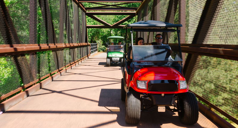 Magical Golf Cart Tour Through Peachtree City Trails