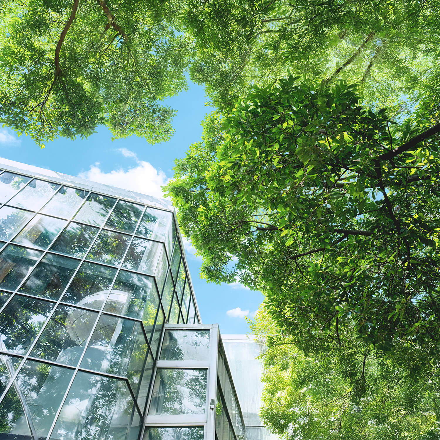 Striving for a Sustainable Future! 🌿