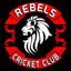 Boston Rebels Cricket Club logo