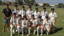 Narrabri District Cricket Association logo