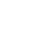 natural remedy flower powered honey allergy blend icon