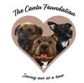 The Cantu Foundation Logo