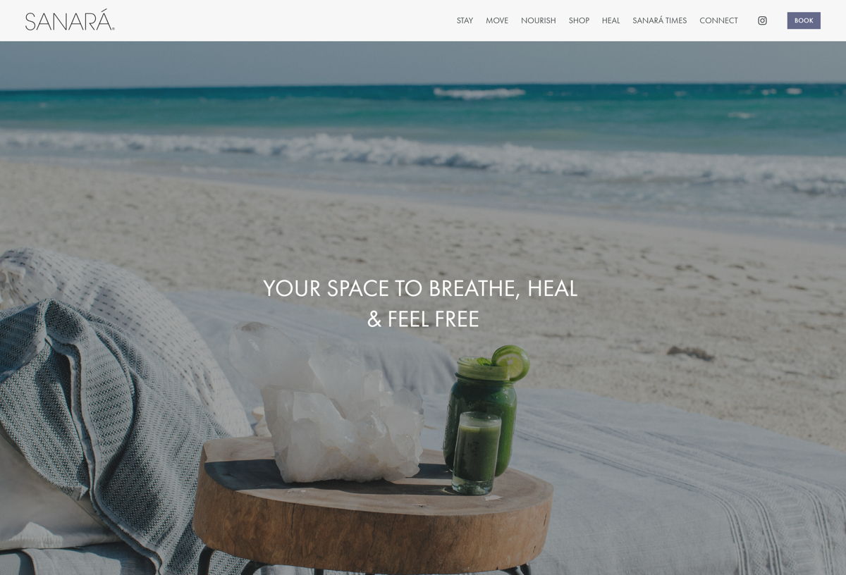 Screenshot of Sanara, from the squarespace websites  collection.