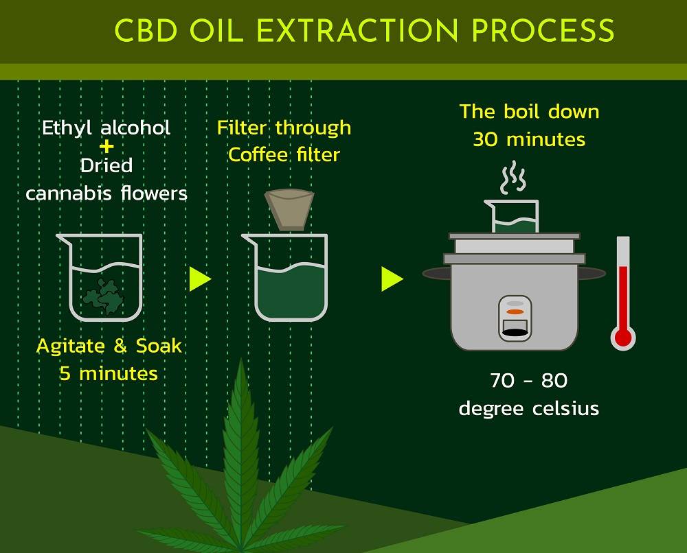 CBD Oil Extraction Process