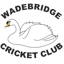 Wadebridge Cricket Club logo