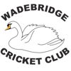 Wadebridge Cricket Club Logo
