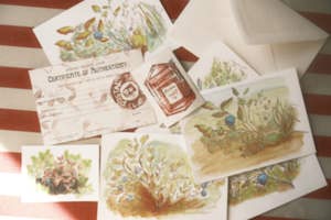 Hand painted Postcard Commission