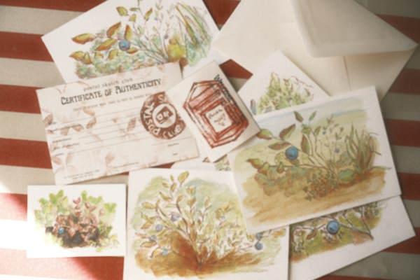 Hand painted Postcard Commission