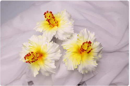 White and Yellow Hibiscus Real Touch Flowerhead