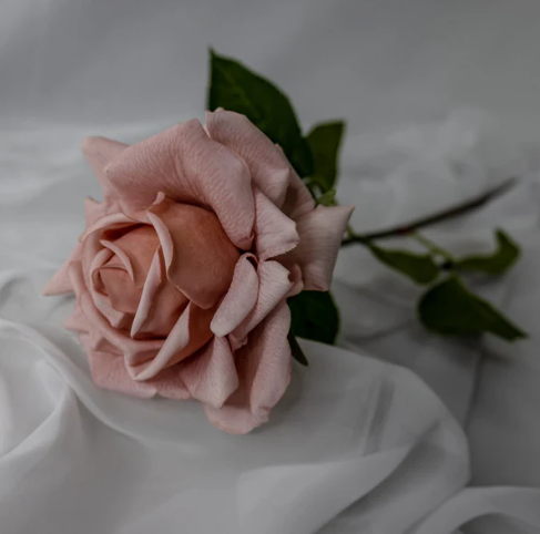 Dusty Pink Rose Real Touch Full Bloom - Realistic Artificial Flowers - Image 2