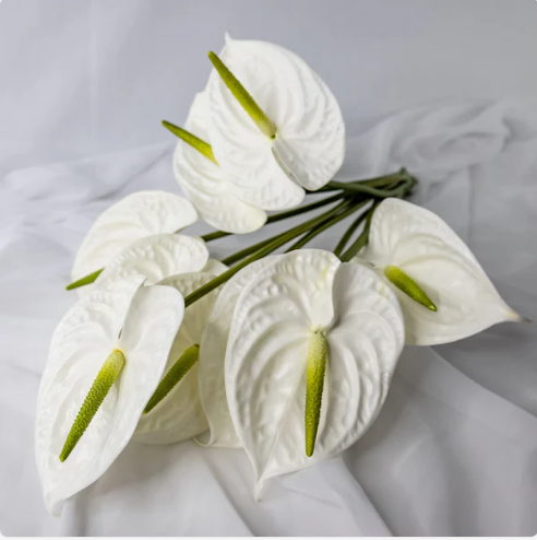 White Large Anthurium - Realistic Artificial Flowers - Image 3
