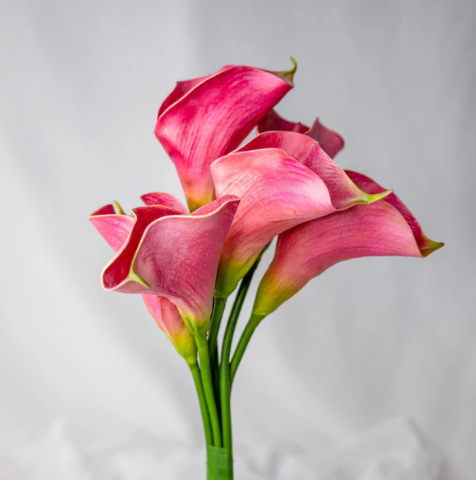 Fuchsia Mini Calla Lily - Realistic Artificial Flowers