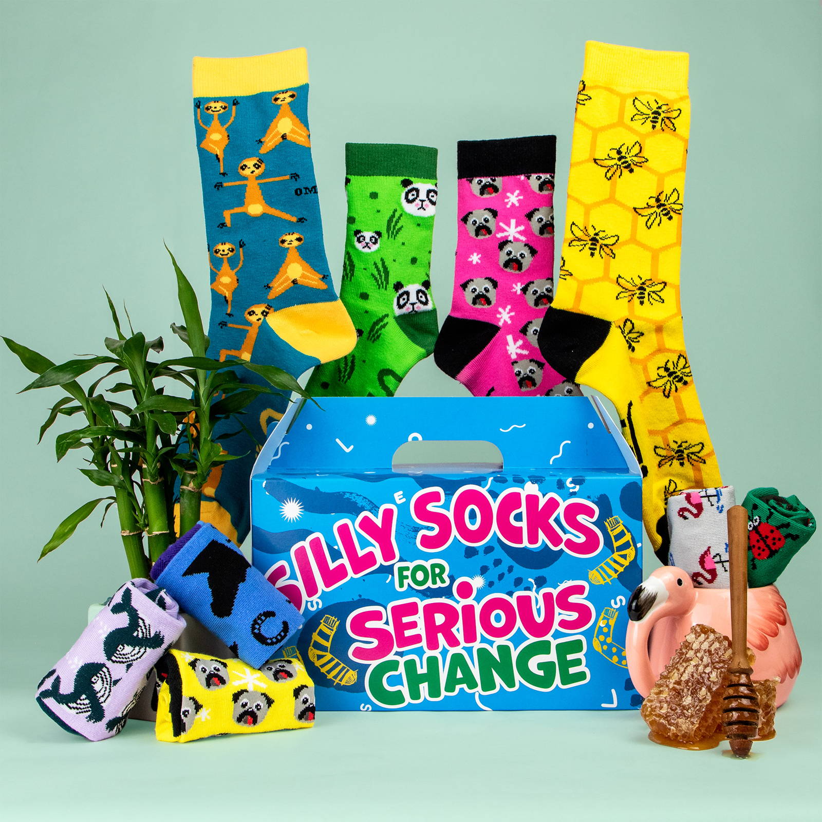 Jolly Soles Animal Fundraiser Sock Box