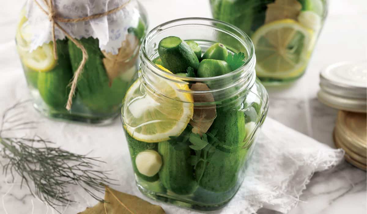 fermented drinks