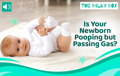 Is your Newborn Pooping but Passing Gas? | The Milky Box