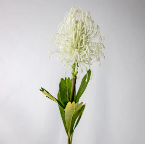 White Leucospermum - Realistic Artificial Flowers - Image 2