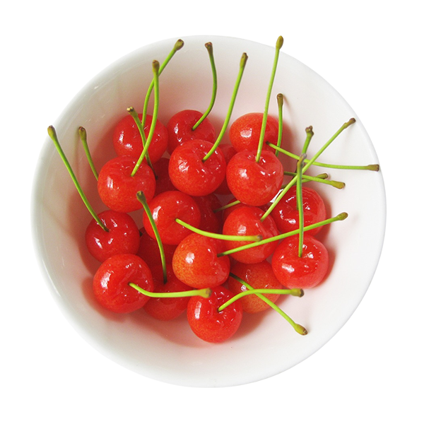 Improved oral health as benefit of the best probiotic supplement