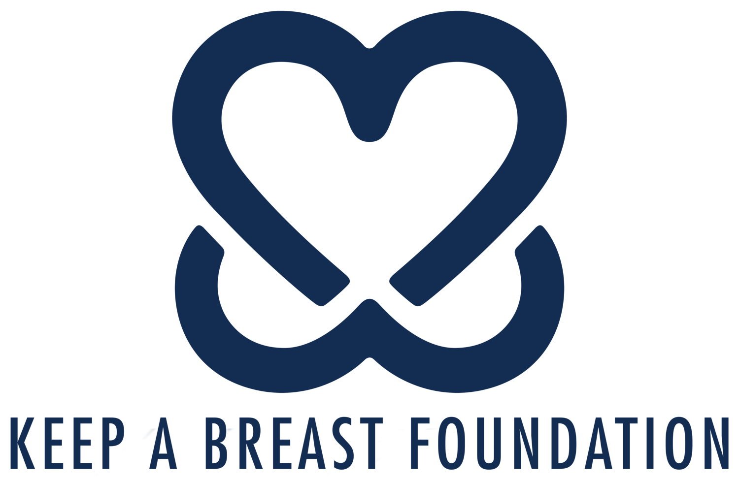 Keep a Breast foundation logo