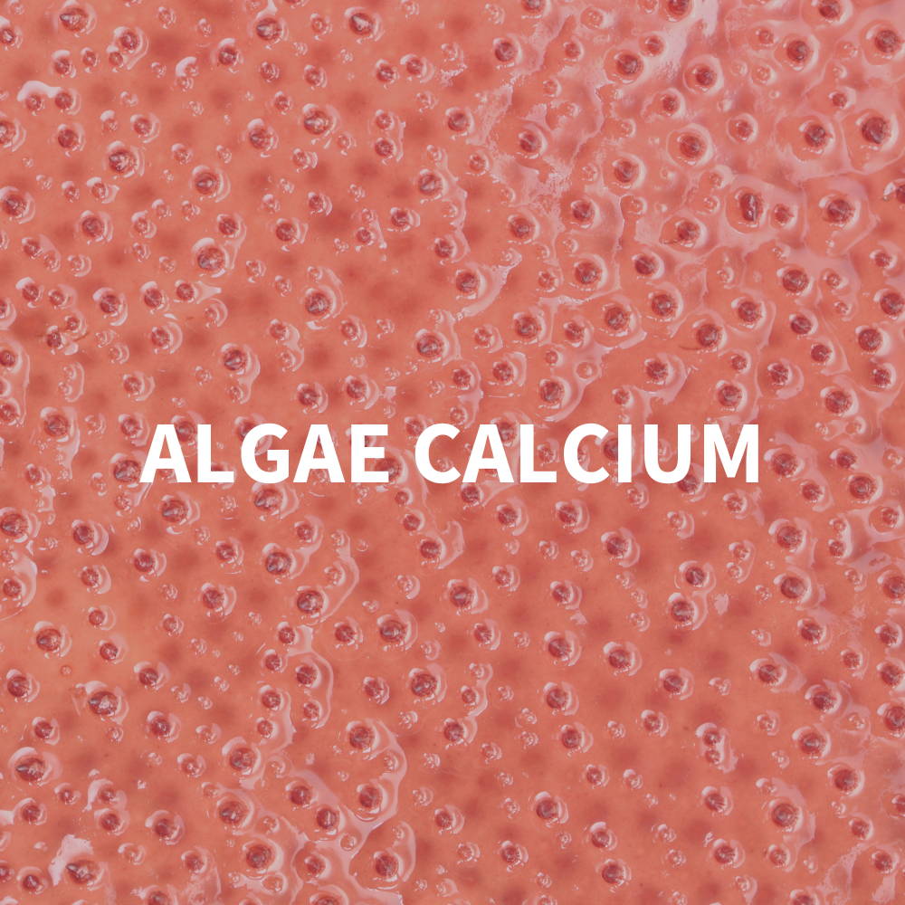 Algae calcium supports bones