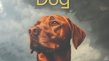 Main Content Image